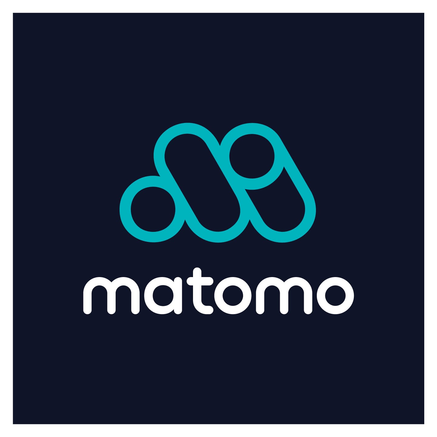 Matomo Logo